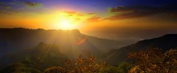 la pulverisation dans la culture du cannabis