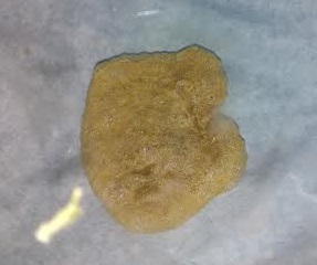 realisation de votre crumble bho/ moon rock