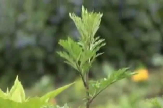 Por algo les pagamos