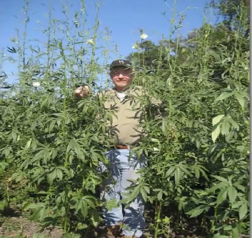 Por algo les pagamos