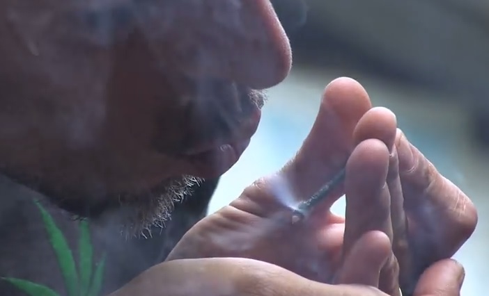 Noticias Cannábicas