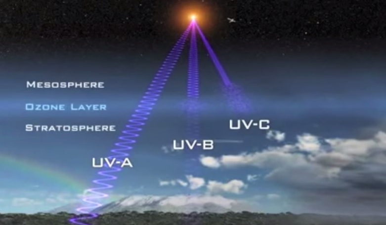 les effets de la radiation de la lumiere sur les plantes