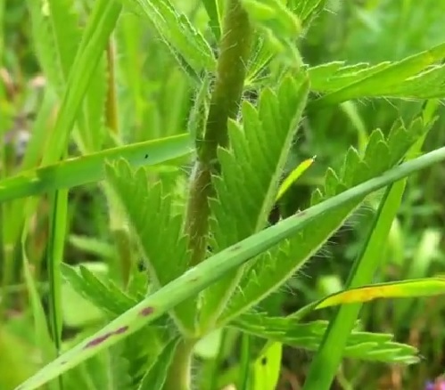 Por algo les pagamos