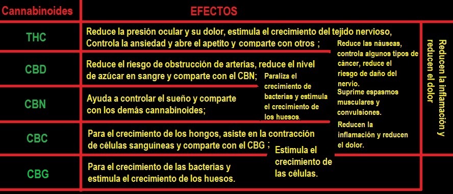 tabla-cannabinoides-efectos