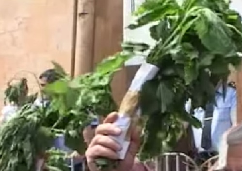 Por algo les pagamos