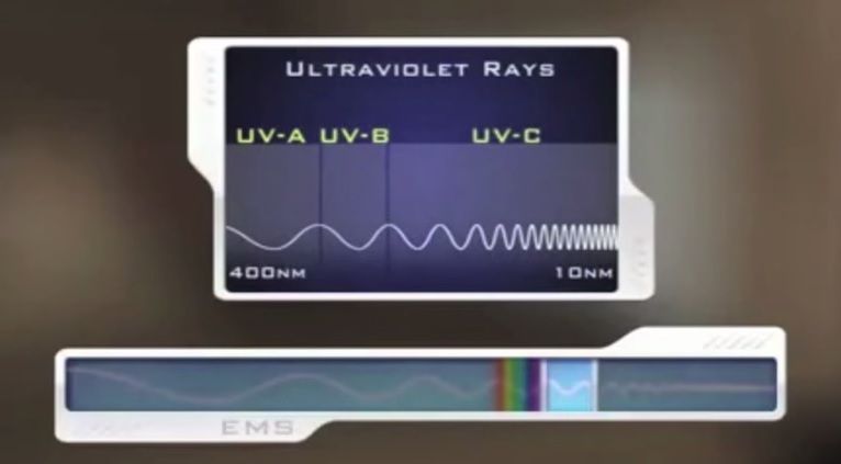 les effets de la radiation de la lumiere sur les plantes