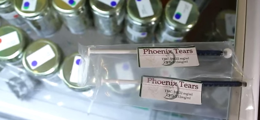 Cannabis medicinal para mascotas