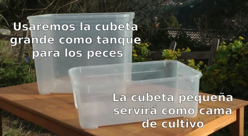 Acuaponia el hidroponico organico foto de acuaponia3 Acuaponia el hidroponico organico