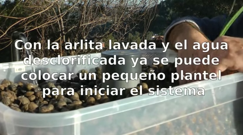 Acuaponia el hidropónico orgánico foto de acuaponia Acuaponia el hidroponico organico