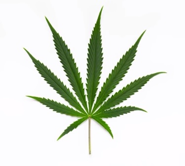 Power feeding by green house