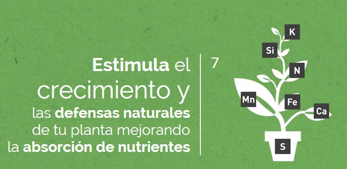 Superkukulus fofo cualidad crecimiento Superkukulus