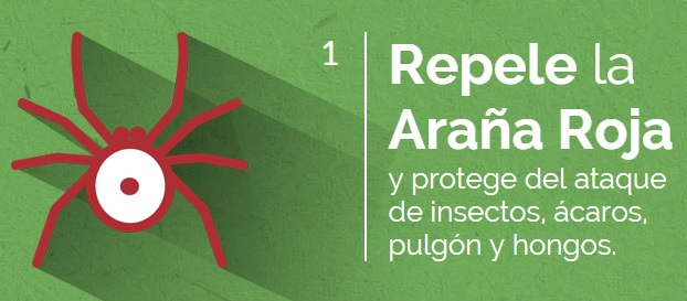 Superkukulus foto efecto contra araña roja superkukulus