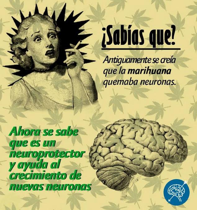 Cannabis; Defending Brain Cells
