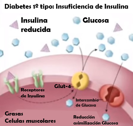 Noticias Cannábicas
