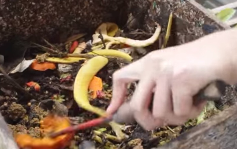El compostaje y el vermicompostaje