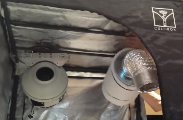 augmenter sa production de cannabis