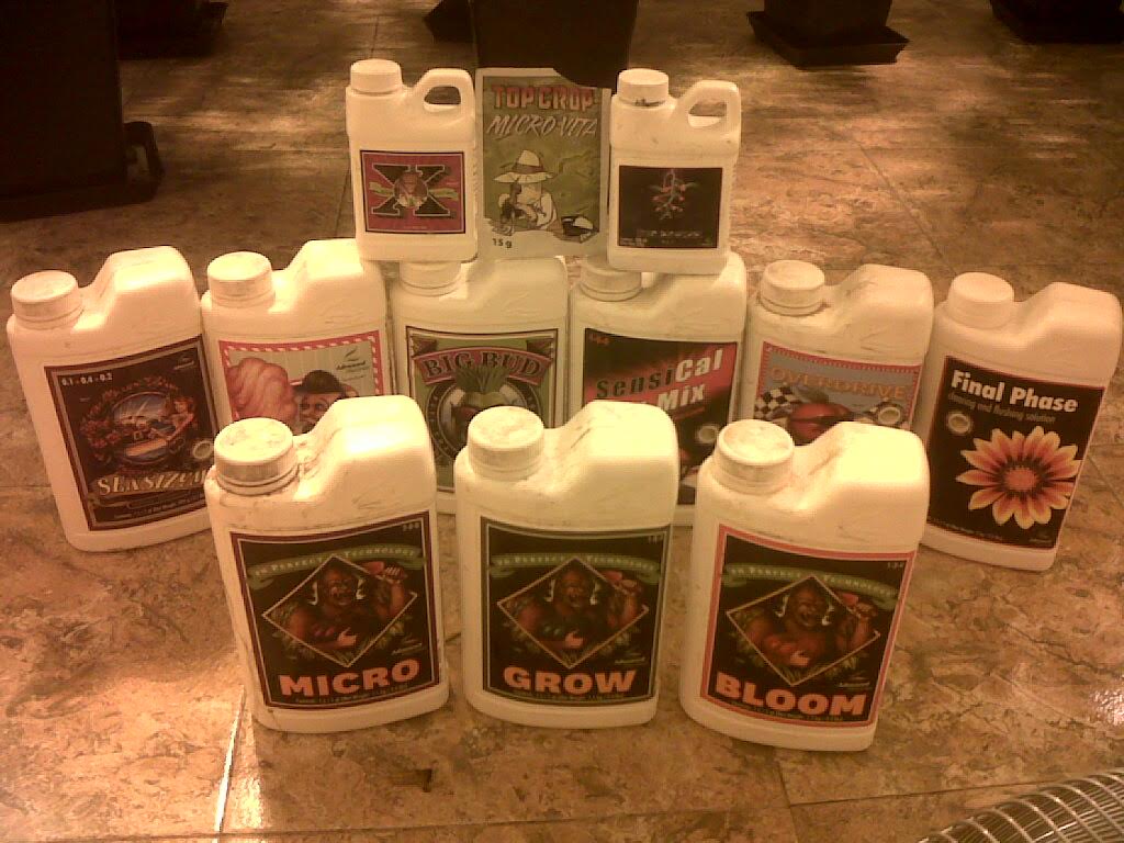 augmenter sa production de cannabis