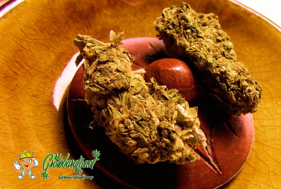 Cocinar con marihuana