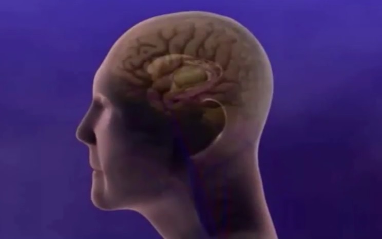 Marijuana can treat Alzheimer’s 