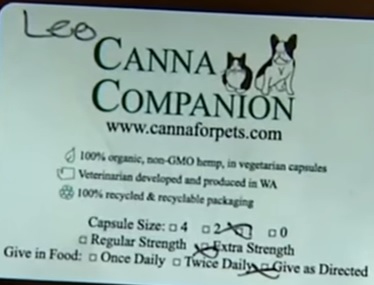 calmez vos animaux de compagnie avec du cbd