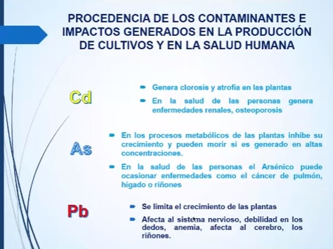 Contaminantes del cannabis