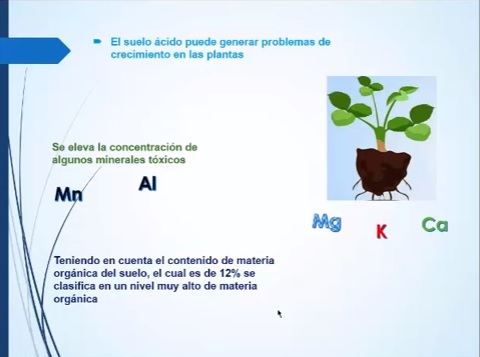 Contaminantes del cannabis