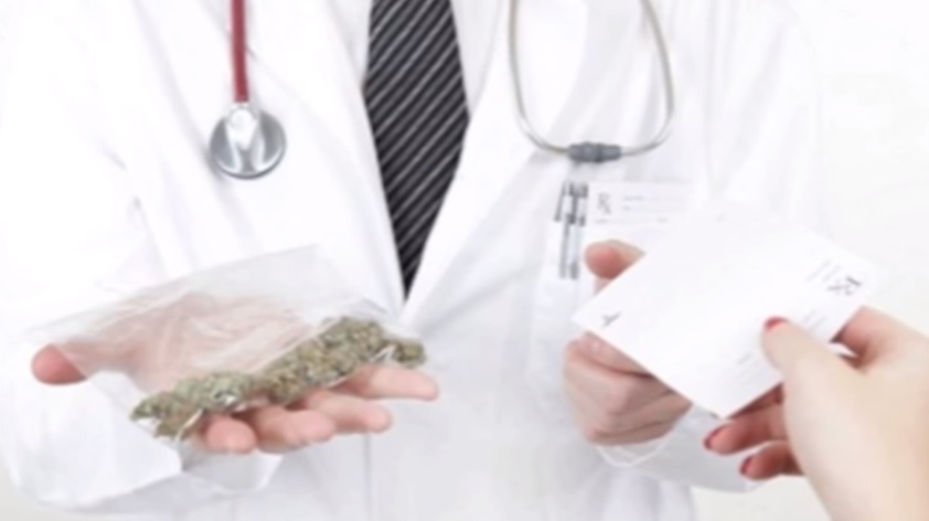10 Things You Didn’t Know About Cannabis
