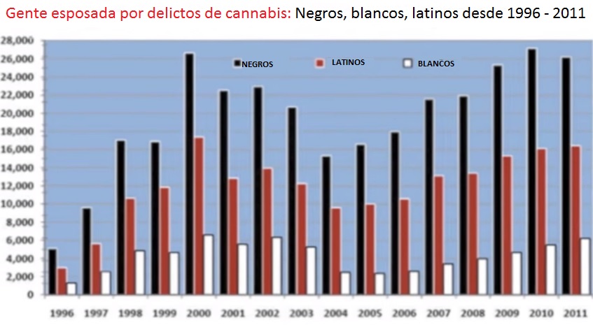 10 choses que vous ne savez (peut-être) pas sur le cannabis