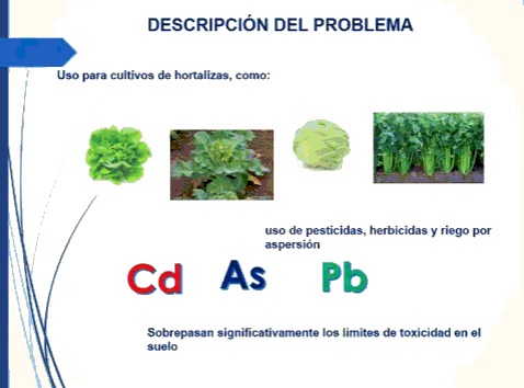 Contaminantes del cannabis