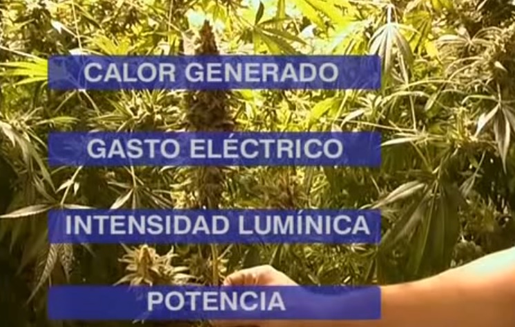 La técnica Reinhard Delp foto de potencia La técnica Reinhard Delp