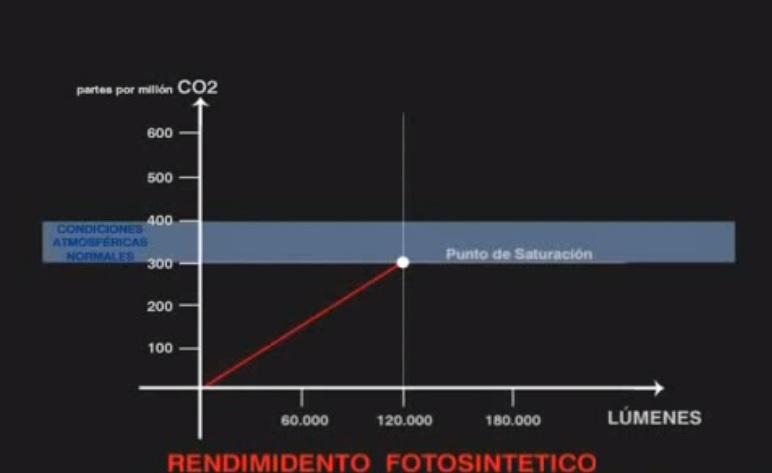 La técnica Reinhard Delp foto de saturacion lumínica La técnica Reinhard Delp
