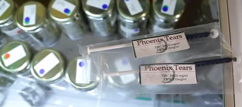 calmez vos animaux de compagnie avec du cbd