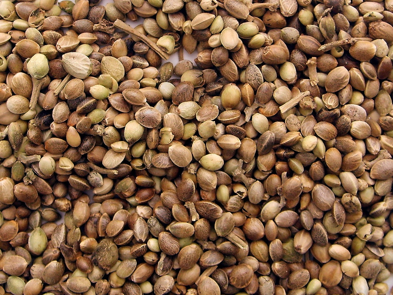 Guías de cultivo Guías de cultivo