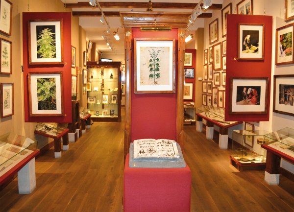 museo cannabis Barcelona