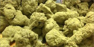 moon rocks