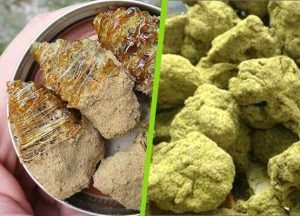 differences entre moon rocks et sun rocks
