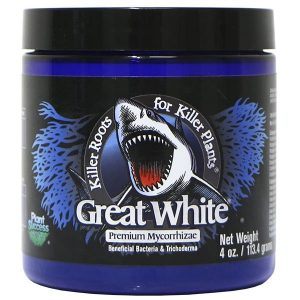 Great White Mycorrhizae great white mycorrhizae