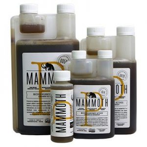 Mammoth P Microbes mammoth p