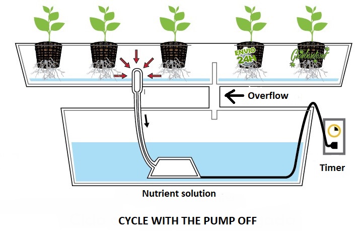5 Ways to Grow Cannabis in Hydroponics