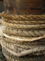 difference entre chanvre et cannabis utilisations
