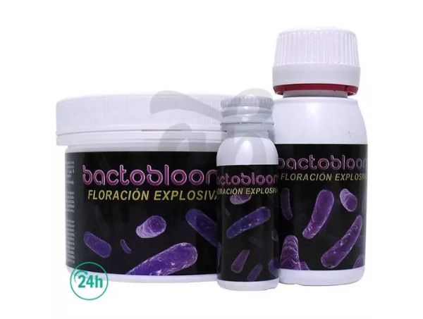 Bactobloom