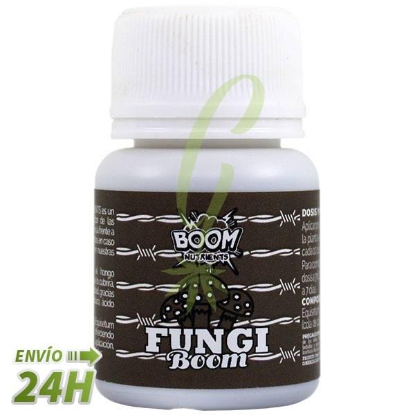 fungi boom