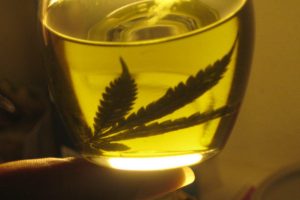 Cómo hacer aceite de Cannabis: Forma sencilla y Forma Profesional