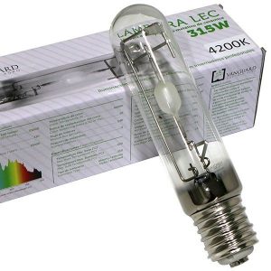 ampoule pour faire pousser du cannabis