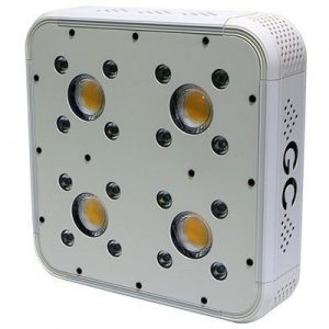 lampe pour culture de cannabis