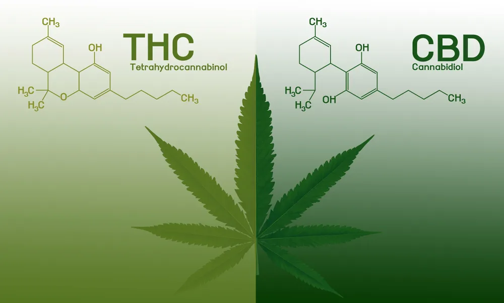 Cuáles son los beneficios de las semillas de marihuana medicinales