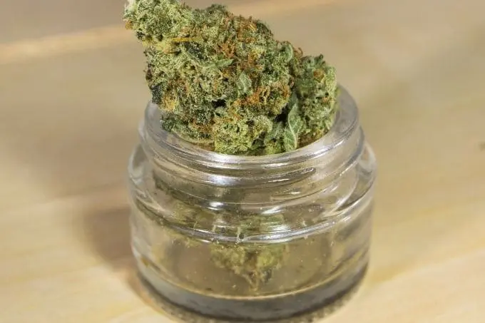 como conservar la marihuana