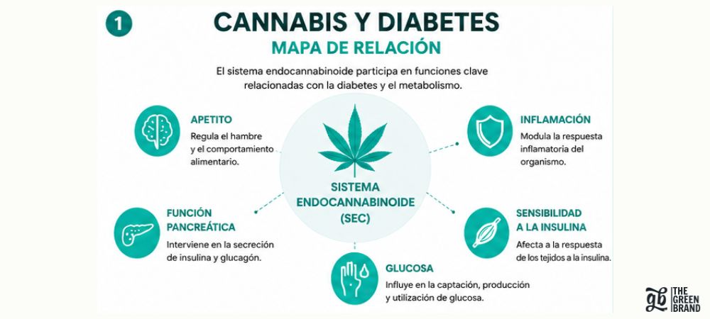 Mapa relacional del cannabis y diabetes