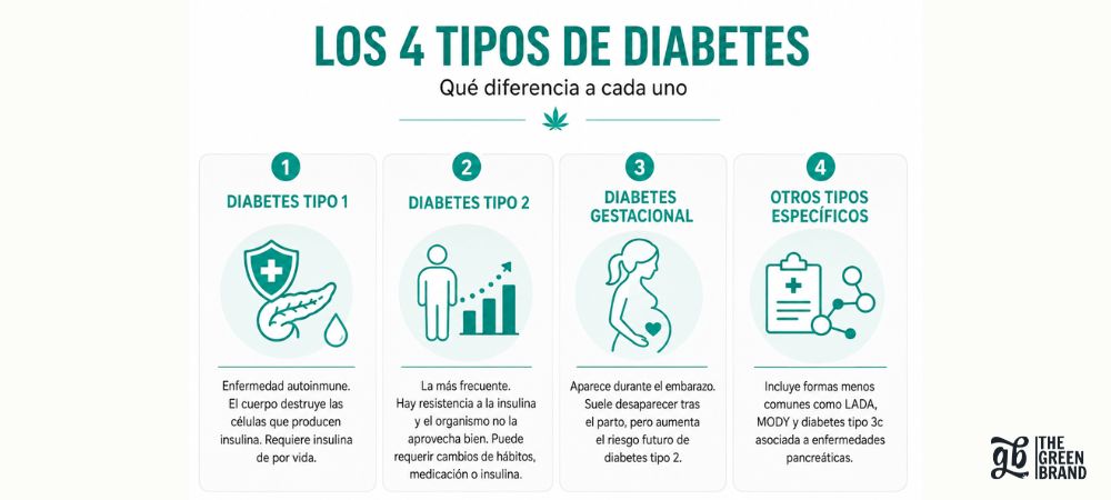 Tipos que existen de diabetes y en qué se diferencian