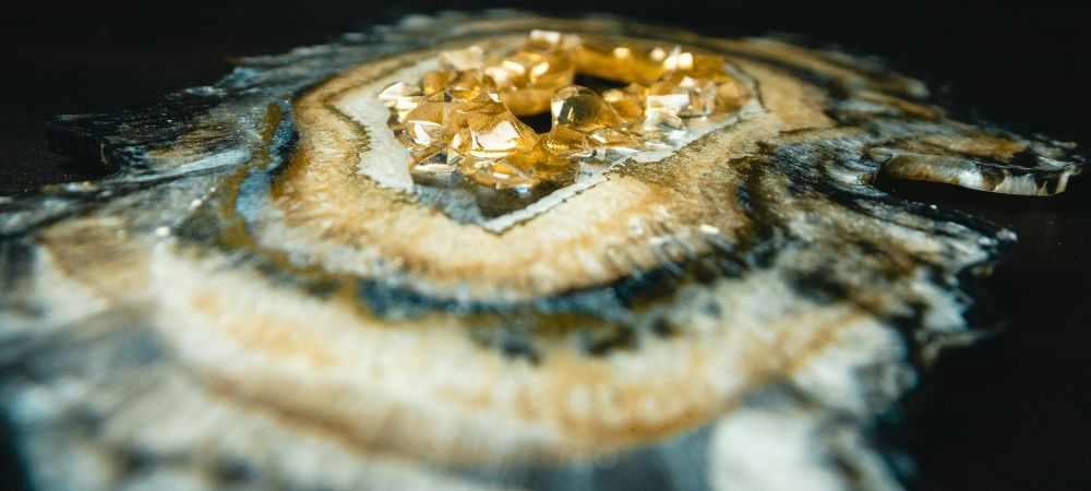 Extracções de resina tipos de gás